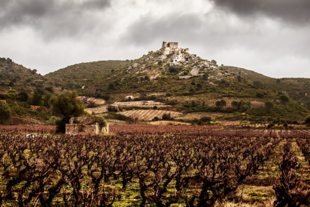 Le château d'Aguilar vu depuis la plaine viticole de Tuchan