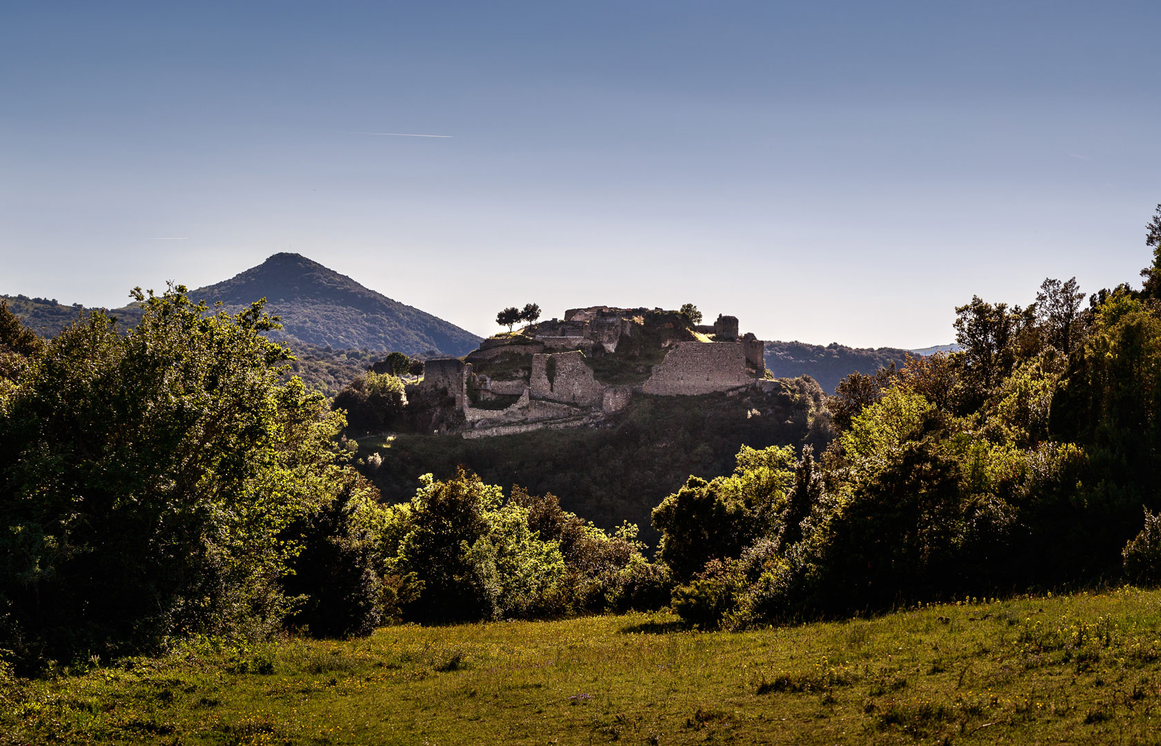 L’autre spécificité paysagère du château de Termes est son environnement fortement boisé, caractérisé par une végétation méditerranéenne typique.