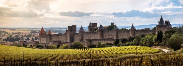 Vue des remparts de la cité de Carcassonne depuis les vignes